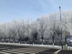 -雾凇岛