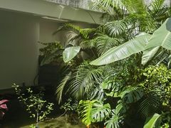 -漫笙舍Manse·咖啡·民宿