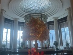 -新都绿城喜来登酒店大堂吧