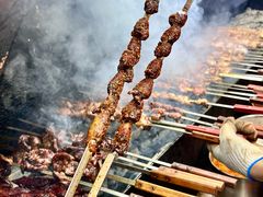 -周记老沈阳焦火鸡架