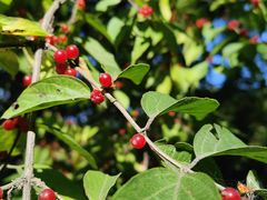 -森林公园(尖草坪区)