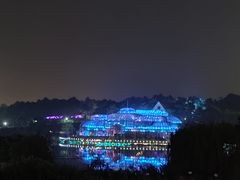 -大塘金香草谷