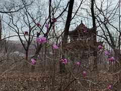 -丹东市五龙山风景区
