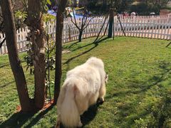 -七彩云南古滇温泉山庄