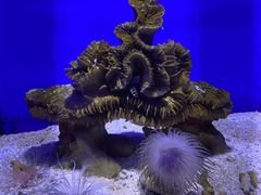 -青岛海底世界-水族馆