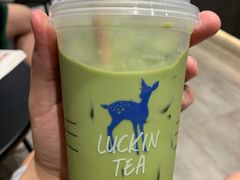 -老昌春饼(迅驰广场店)