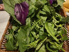 -龙泉人椰子鸡.糟粕醋.海南菜(三亚旗舰店)