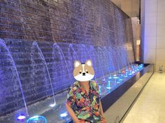 -烟台金沙滩喜来登度假酒店