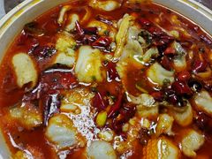 -杨南饭店·二十五年闽菜馆(凤湖新城一店)