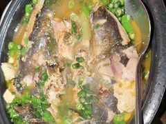 -探鱼·鲜青椒爽麻烤鱼(广州花都来又来店)
