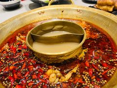 -哥老官重庆美蛙鱼头(五角场合生汇店)