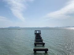 -贡湖湾湿地公园