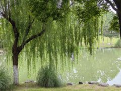-九里河湿地公园