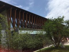 -思念果岭悦温泉