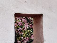 -郑州植物园