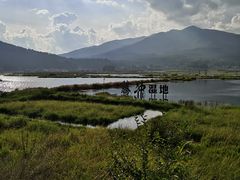 -腾冲北海湿地