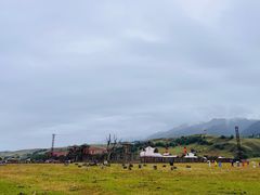 -新疆那拉提国家旅游度假区