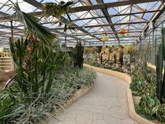 -南宫五洲植物乐园