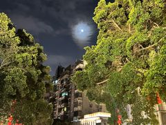 -荔湾湖公园