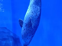 -上海海昌海洋公园