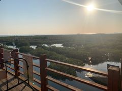 -北海金海湾红树林生态旅游区