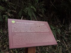 -白云山风景名胜区