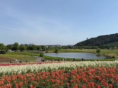 -径山花海