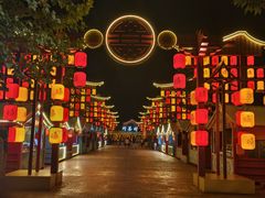 -花博汇(知音花月夜)
