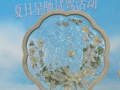 -奔驰利星行(北京花乡店)