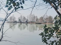 -东湖落雁景区