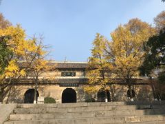 -灵谷景区