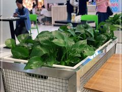 大堂-1点点(金桥店)