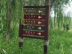 -西青郊野公园