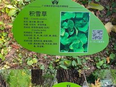 -广州神农草堂中医药博物馆