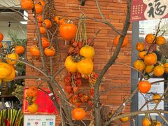 -溪岸路花鸟市场