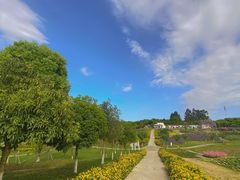 -紫颐香薰山谷景区