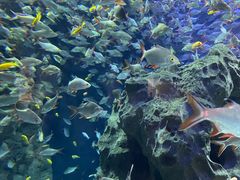 -成都浩海立方海洋公园