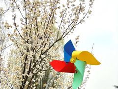 -国际非物质文化遗产博览园