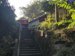 -龙井村