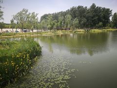 -东郊湿地公园