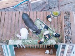 -昆明动物园