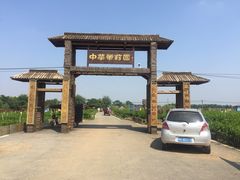 -中华茉莉园