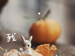 -南宁良凤江国家森林公园