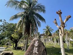 -三亚南山文化旅游区