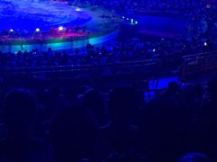 -灵玲国际马戏城