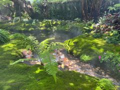 -Chom Cafe and Restaurant