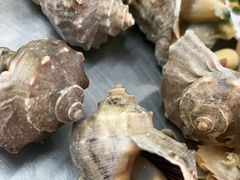 -有间冰室(侨港风情街店)