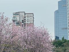 -广州保龄球馆