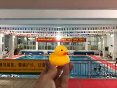-领晟体育蓝天花园室内游泳馆