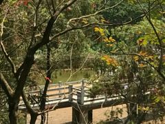 -广州市帽峰山景区